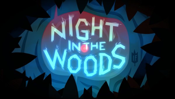 Night in the woods