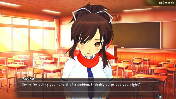 Senran Kagura Reflexions