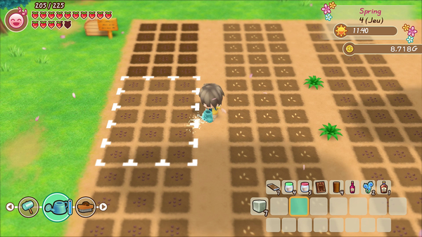 STORY OF SEASONS: Friends of Mineral Town